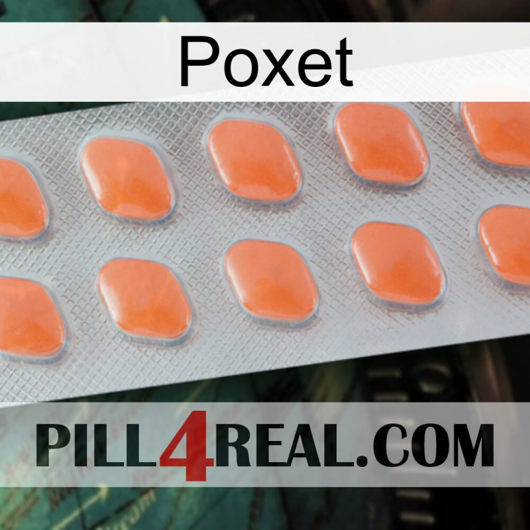 Poxet 26